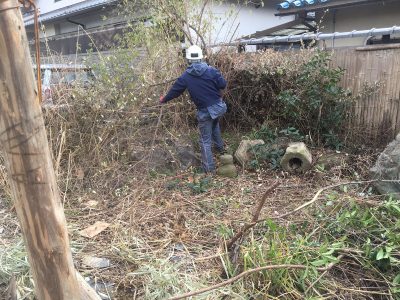 ある程度取り除いたら、庭木を人力で撤去