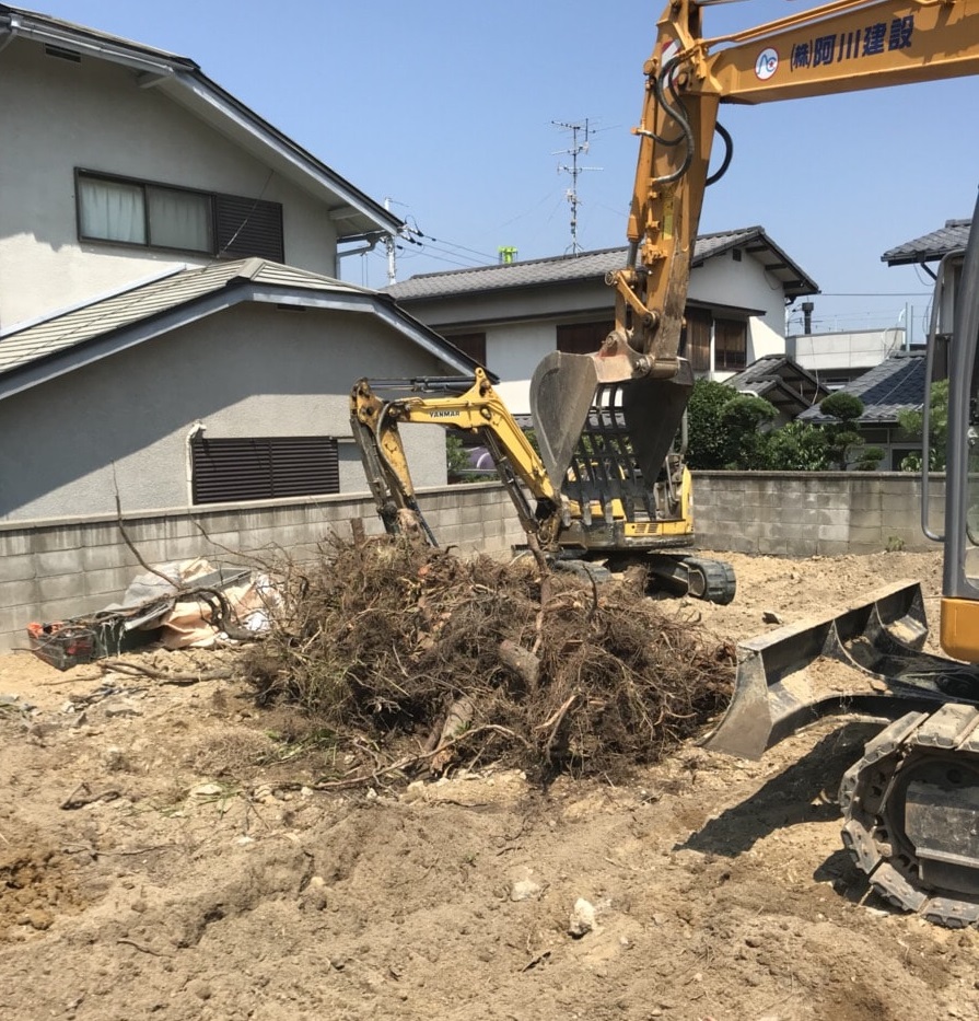 植栽の根っこ